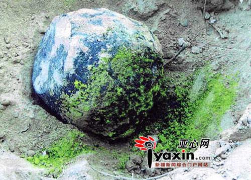 核废料属于固体吗 新疆3男子误把核废料当宝物运回国险被拘(图)